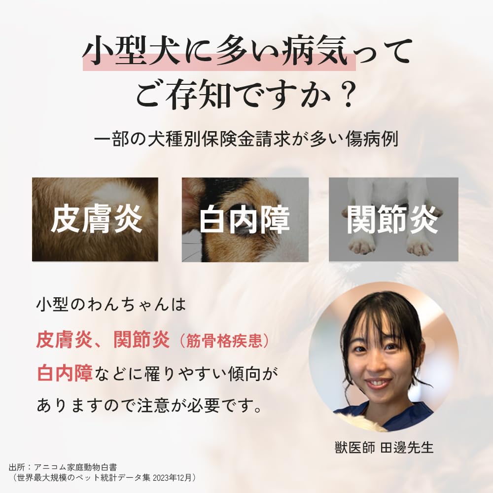 Amazon.co.jp: PELTHIA(ペルシア) ドッグフード トッピング 5袋